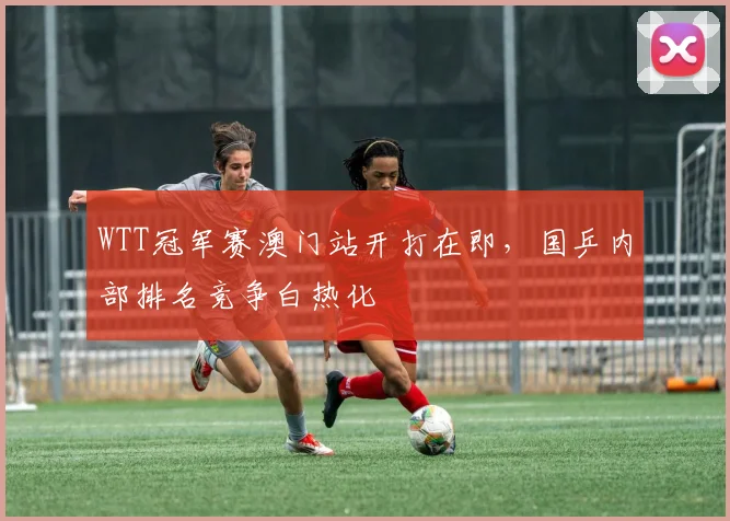 WTT冠军赛澳门站开打在即,国乒内部排名竞争白热化