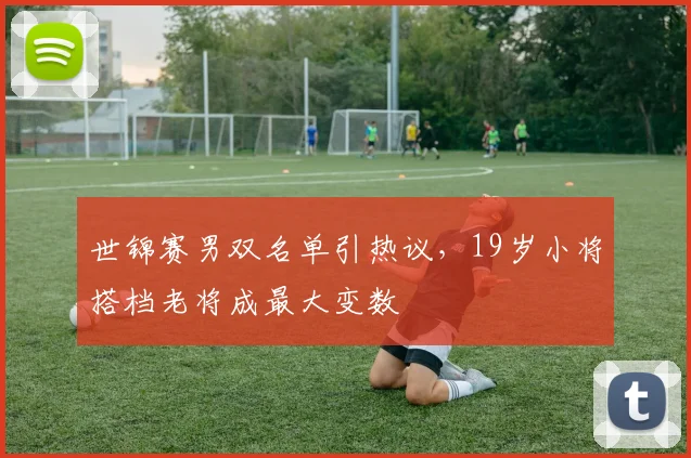 世锦赛男双名单引热议，19岁小将搭档老将成最大变数
