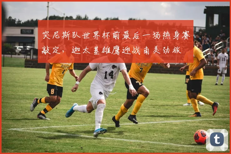 突尼斯队世界杯前最后一场热身赛敲定,迦太基雄鹰迎战南美劲旅