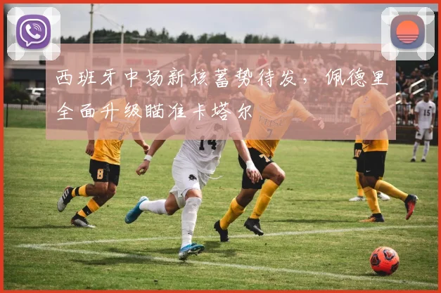 西班牙中场新核蓄势待发,佩德里全面升级瞄准卡塔尔