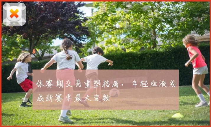 休赛期交易重塑格局,年轻血液或成新赛季最大变数