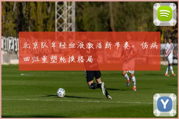 北京队年轻血液激活新节奏，伤病回归重塑轮换格局 - 球天下体育
